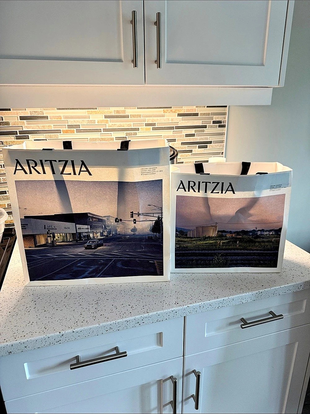 $5 for $20 min order ! Aritzia x Gregory Crewdson Artistic License Shopping Bag